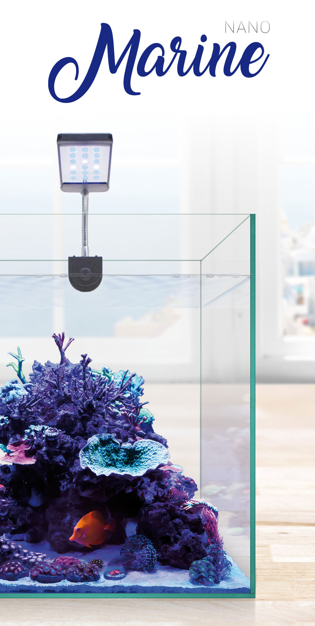 ACUARIO MARINE