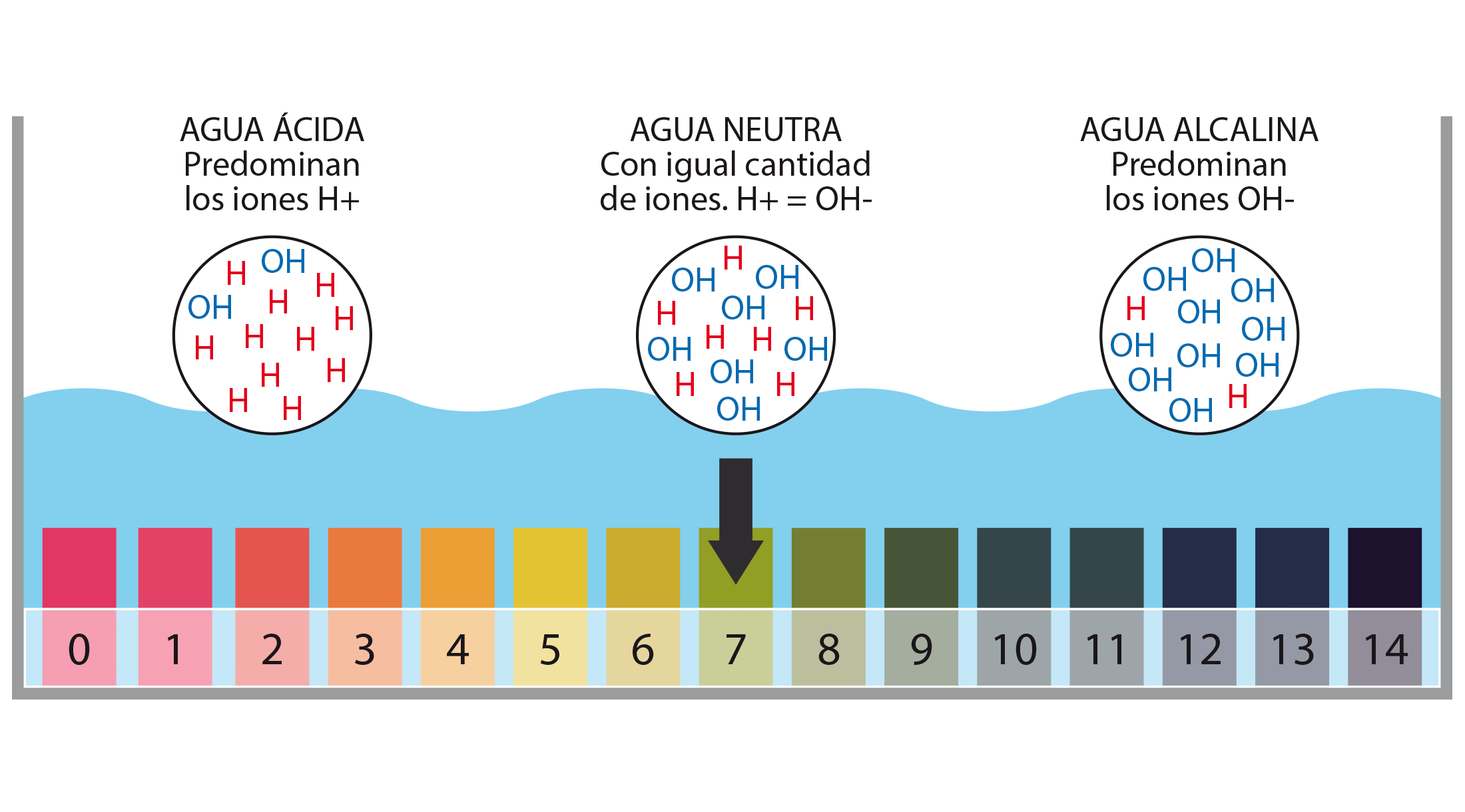 pH ¿Qué es el potencial de hidrógeno?