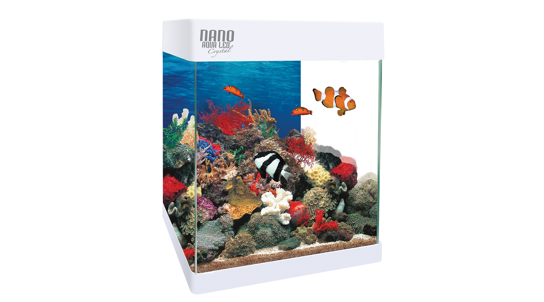 Acuario Nano Reef