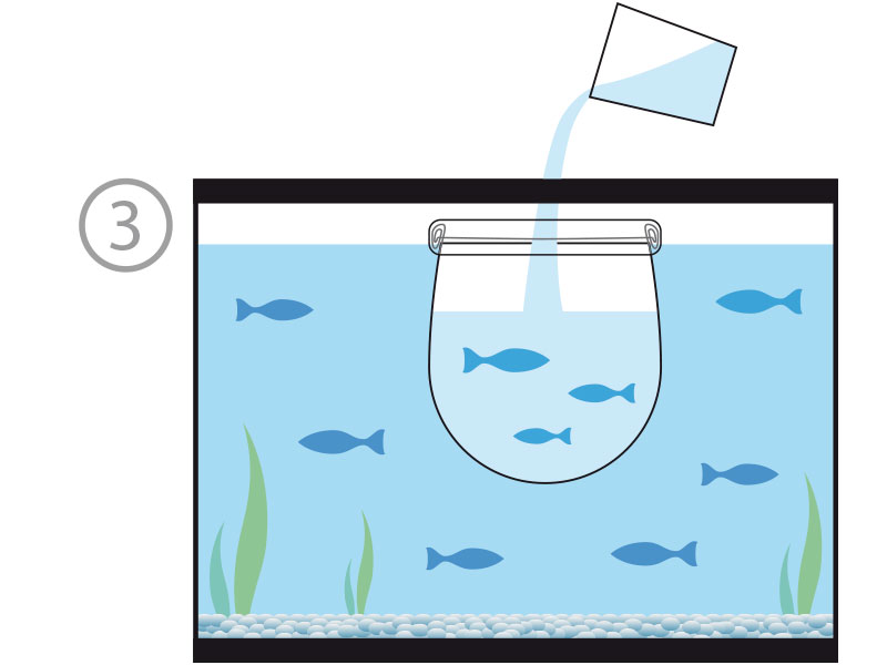 Paso 3: añadir agua del acuario a la bolsa